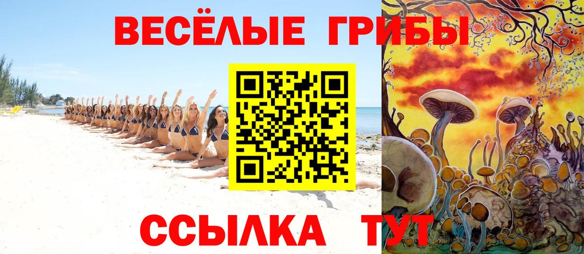 Псилоцибиновые грибы Psilocybine cubensis  Вход с VPN  Братск 